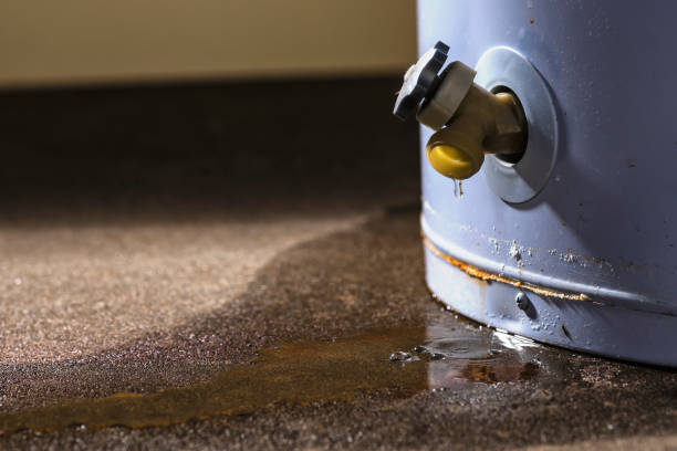 Best Water damage cleanup near me  in Clearfield, UT