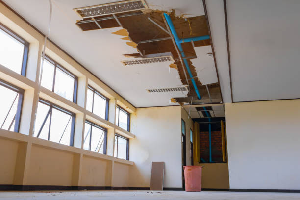 Best Water damage repair service  in Clearfield, UT