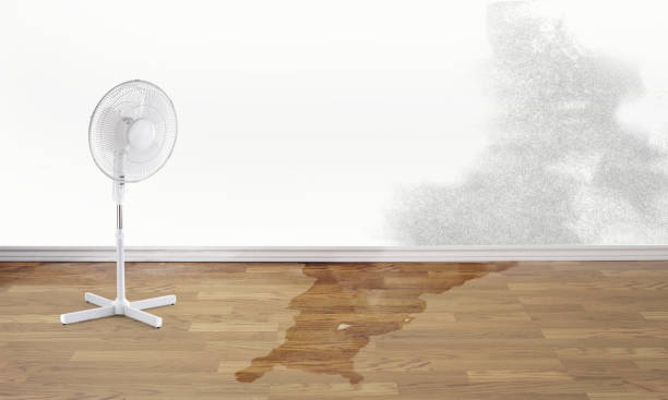  Clearfield, UT Water damage restoration Pros