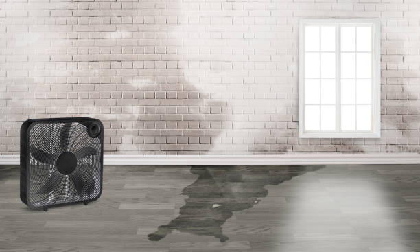 Best Emergency water damage restoration  in Clearfield, UT