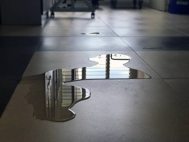Best Water damage restoration near me  in Clearfield, UT