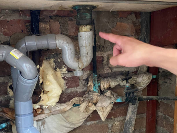 Best Professional water damage repair  in Clearfield, UT