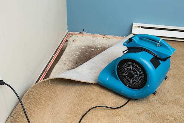 Best Water damage restoration insurance claims  in Clearfield, UT